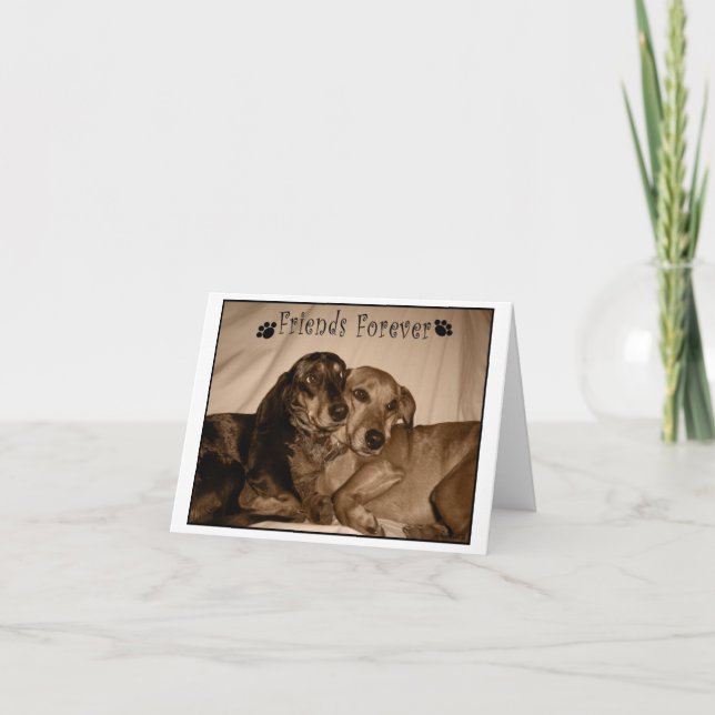 Cartão Amigos para sempre (Frente)