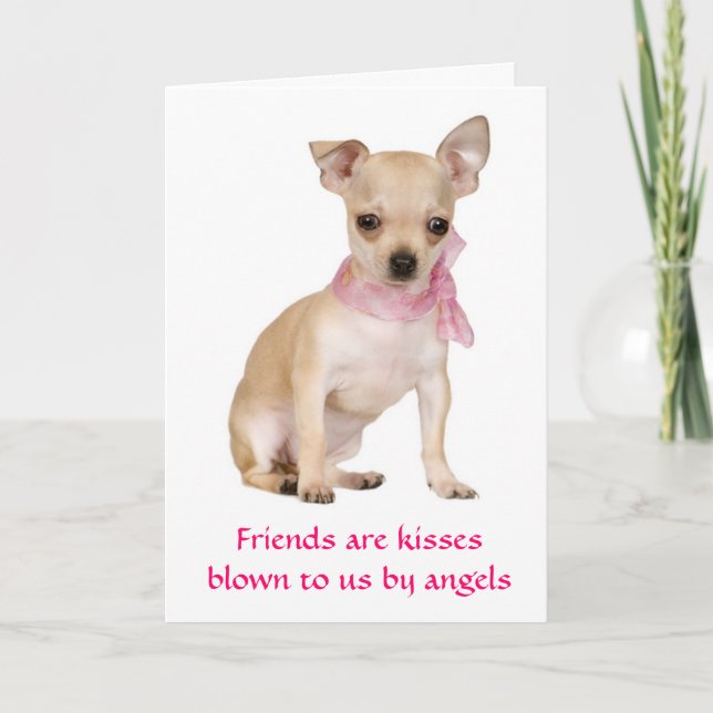 Cartão Amigos São Angels Chihuahua Puppy Dog Card (Frente)