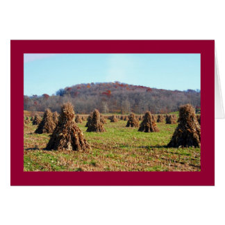 Cartão Amish Fields