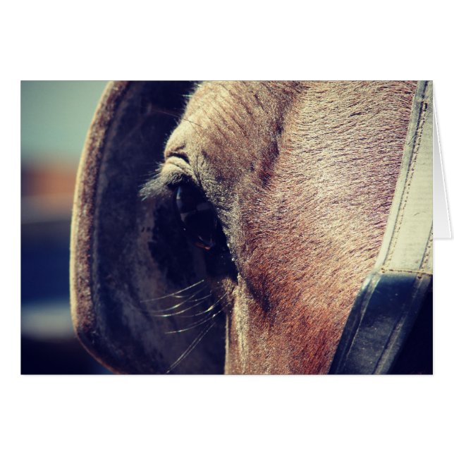 Cartão Amish Horse (Frente Horizontal)