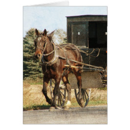 Cartão Amish Horse and Buggy All Occastions