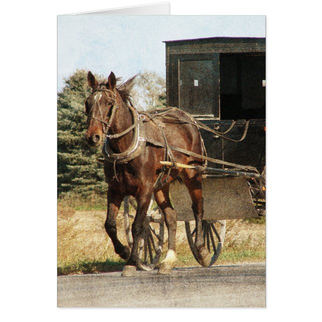 Cartão Amish Horse and Buggy All Occastions (Frente)