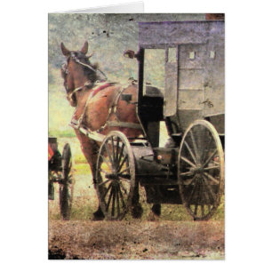 Cartão Amish Horse e Buggy