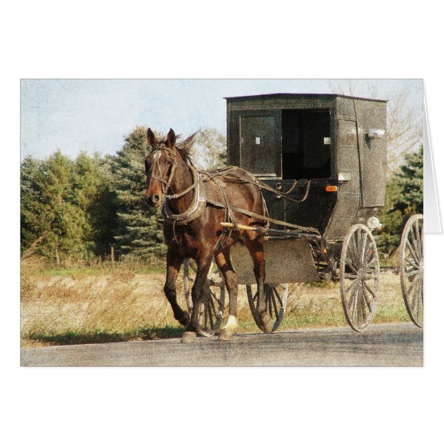 Cartão Amish Horse e Buggy (Frente Horizontal)