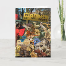 Amizade de Caminho de Cachorro