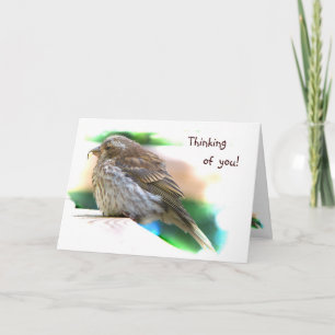 Cartão Amizade do Baby Finch