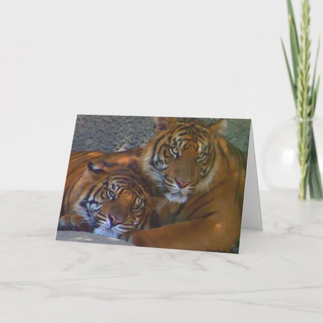 Cartão Amizade/Qualquer Occasion_ Card (Frente)