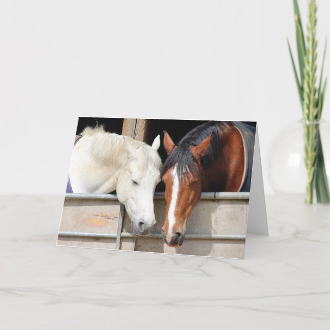 Cartão Amo Cavalos (Frente)