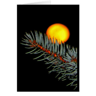 Cartão Amo-Te À Lua E Volta!