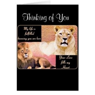 Cartão Amo-Te, Amo-Te.