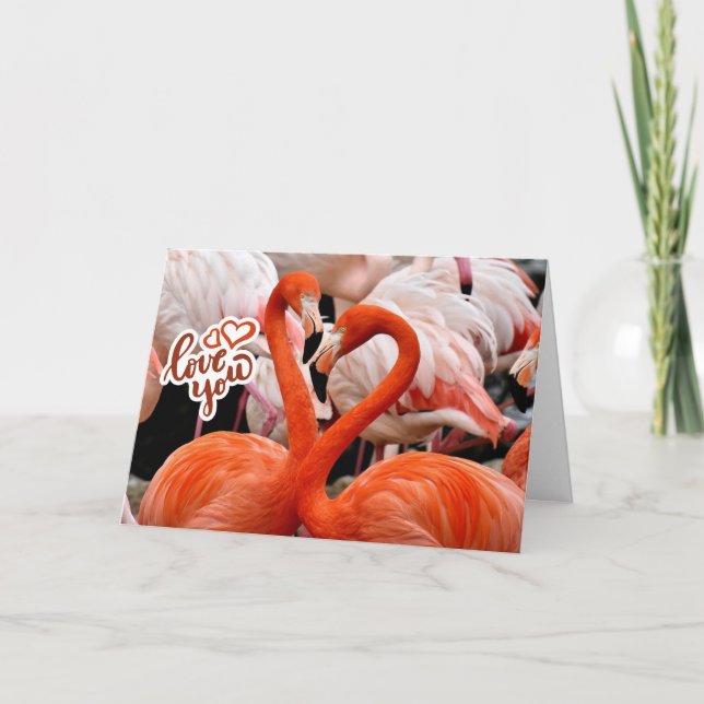 Cartão Amo Você Dois Lindos Pássaros Flamingo (Frente)