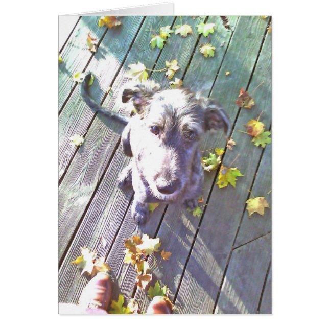 Cartão Amor (Frente)