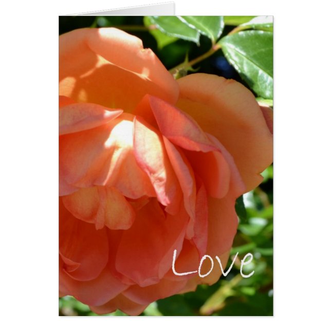 Cartão Amor (Frente)