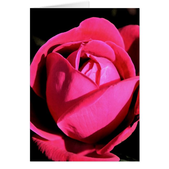 Cartão Amor (Frente)