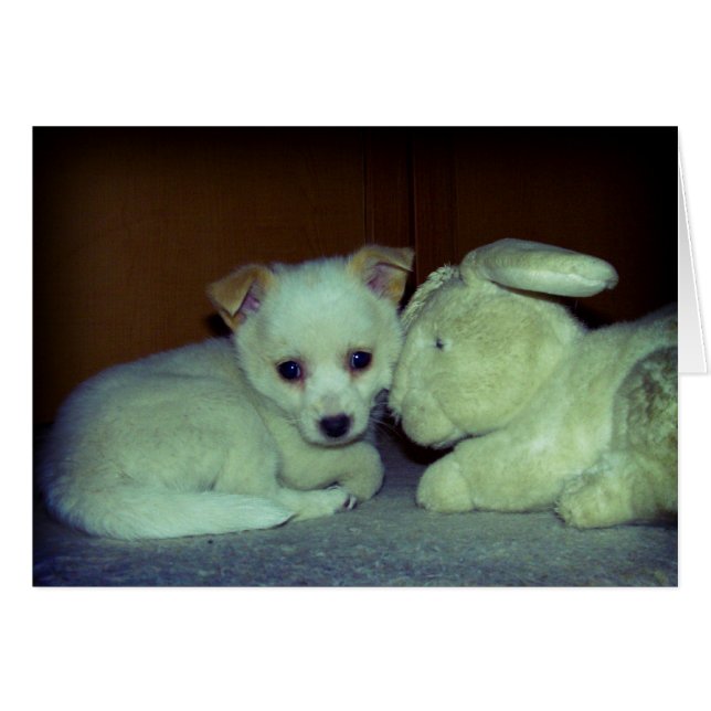 Cartão Amor à primeira vista (Frente Horizontal)