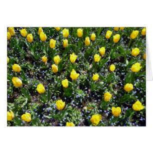 Cartão amor amarelo das tulipas