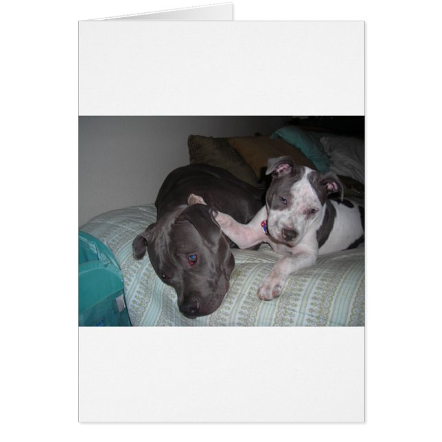 Cartão amor, amor (Frente)