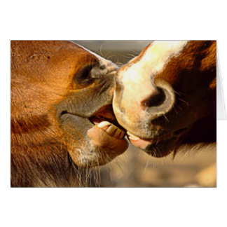 Cartão Amor animal