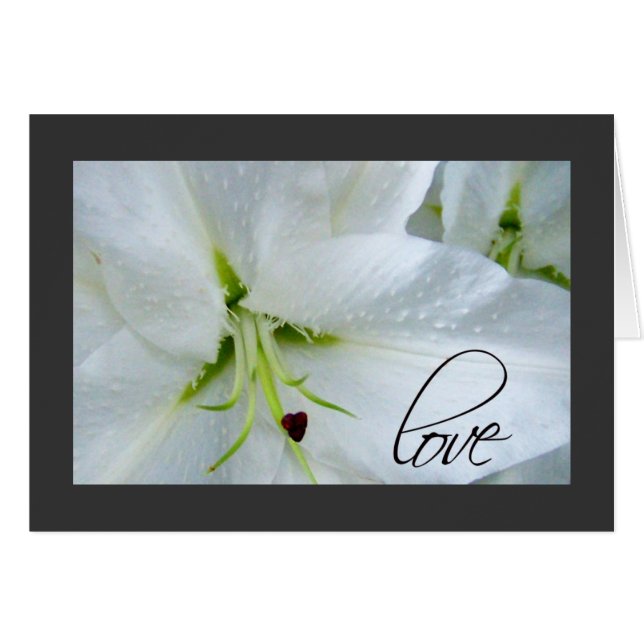 Cartão Amor com uma lily calla (Frente Horizontal)