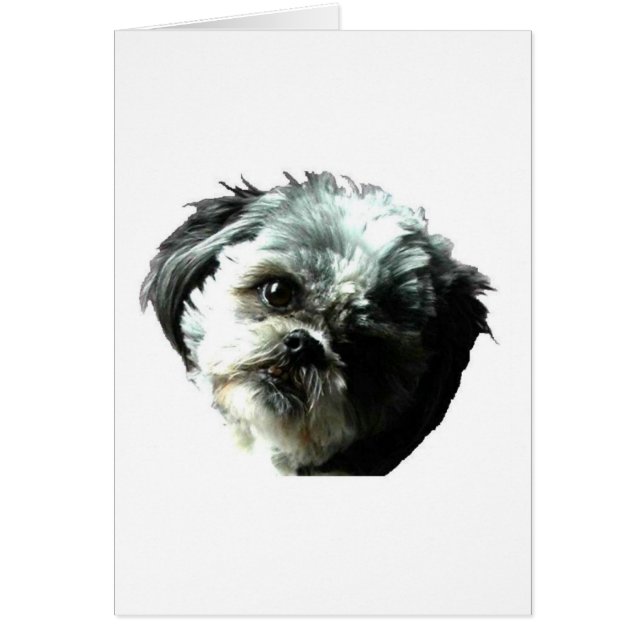 Cartão amor de filhote de cachorro (Frente)