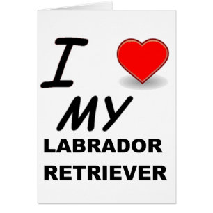 Cartão amor de laboratório