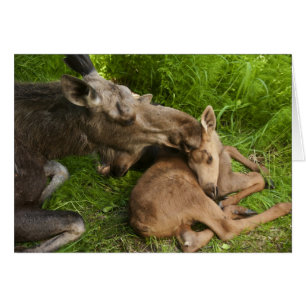 Cartão Amor de Mãe