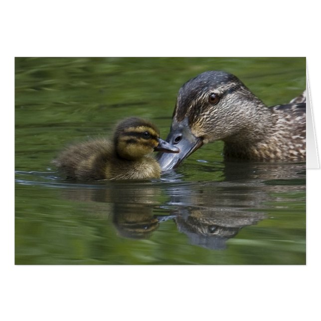 Cartão Amor de Mãe (Frente Horizontal)