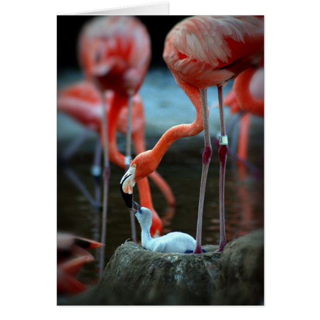 Cartão Amor de Mãe (Frente)