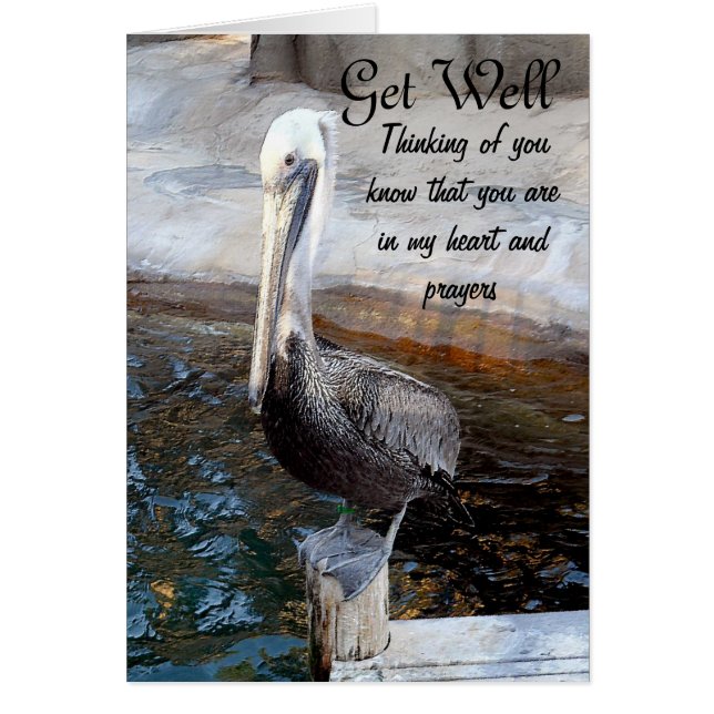 Cartão Amor de Pelicano,-Ocasions_ (Frente)