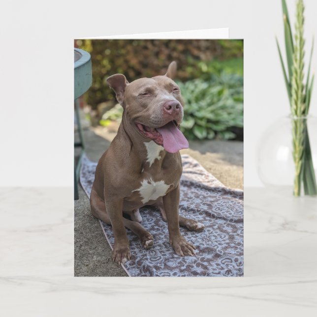 Cartão Amor de Pitbull (Frente)