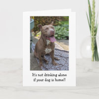Amor de Pitbull Engraçado