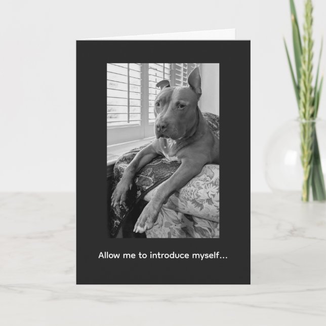 Cartão Amor de Pitbull McLovin (Frente)