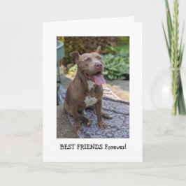 Cartão Amor de Pitbull Pensando em Você