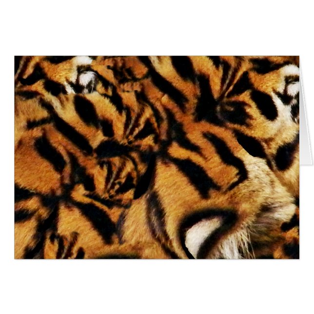 Cartão Amor de Tigre_ (Frente Horizontal)