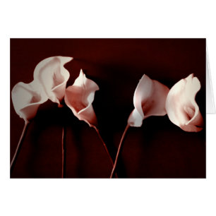 Cartão Amor do lírio