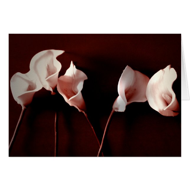 Cartão Amor do lírio (Frente Horizontal)