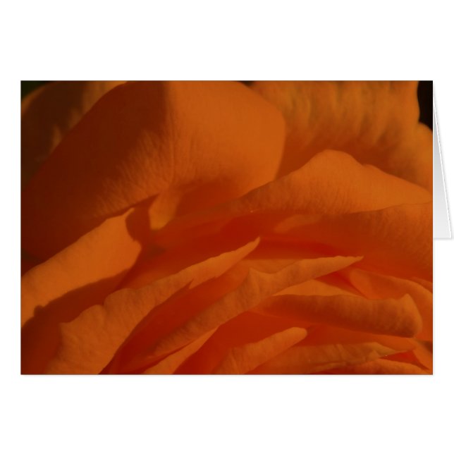 Cartão Amor do MI dos eres de Tú, vida do MI (Frente Horizontal)