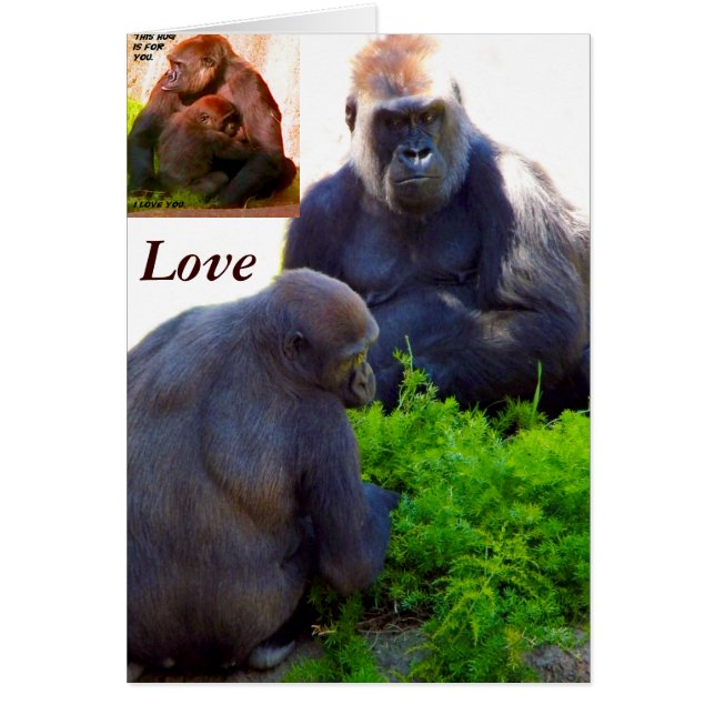 Cartão Amor e Proteção_ (Frente)