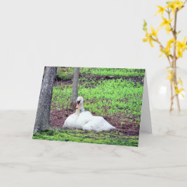 Cartão Amor entre mãe e filho