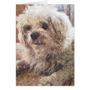 Cartão Amor incondicional