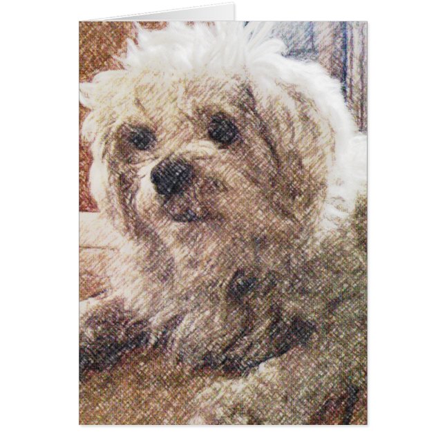 Cartão Amor incondicional (Frente)