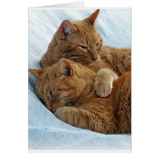 Cartão Amor Irlandês (Frente)