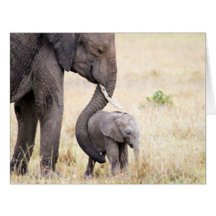 Cartão Amor maternal