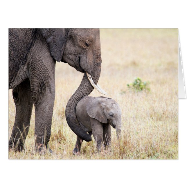 Cartão Amor maternal (Frente horizontal)