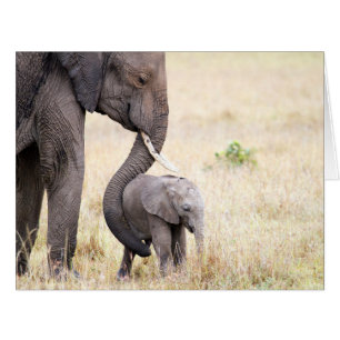 Cartão Amor maternal