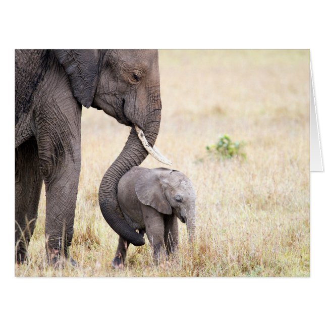 Cartão Amor maternal (Frente horizontal)