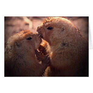 Cartão Amor na pradaria