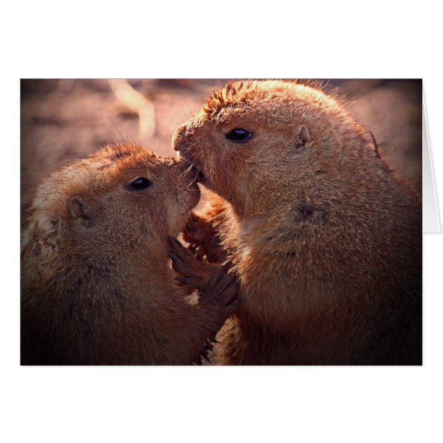 Cartão Amor na pradaria (Frente horizontal)