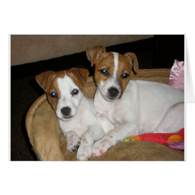 Cartão Amor Real (Frente horizontal)