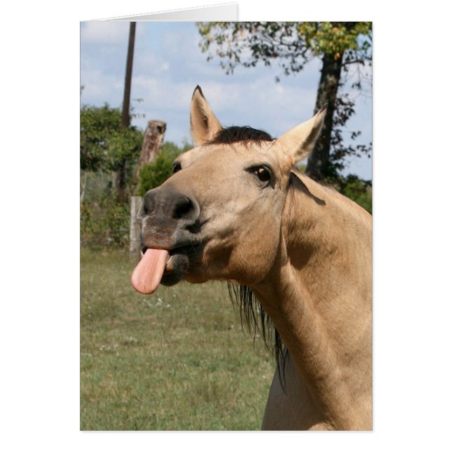 Cartão amora (Frente)